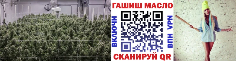 Купить закладки Михайловск ТГК вейп с тгк