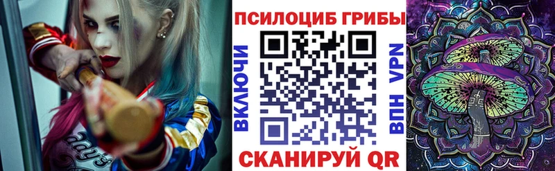 Псилоцибиновые грибы Psilocybe  Купить  Михайловск 
